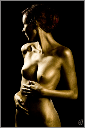 geins_ver_gold_03