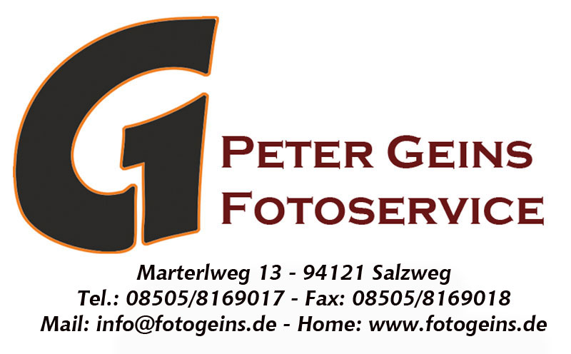 logo-salzweg-klein